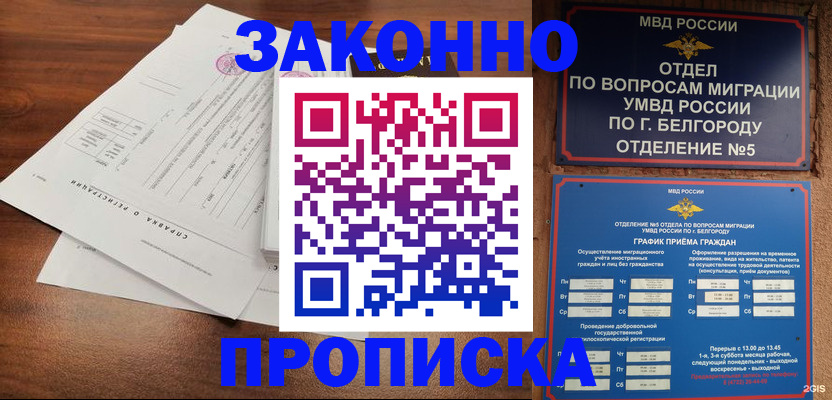 прописка в Купино